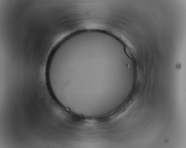 X0000102470391200808221648