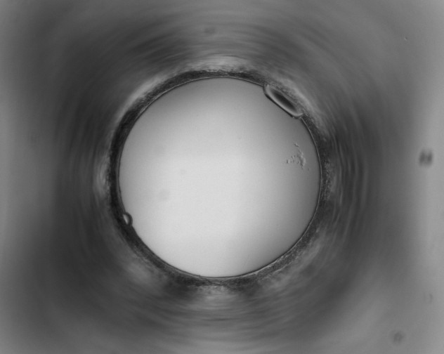 X0000102470392200808221648