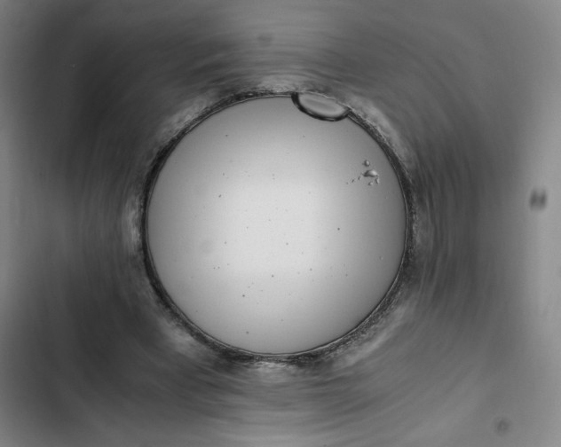 X0000102470393200808221648