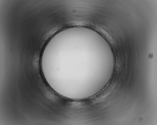 X0000102470394200808221648