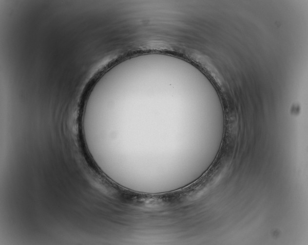X0000102470395200808221648