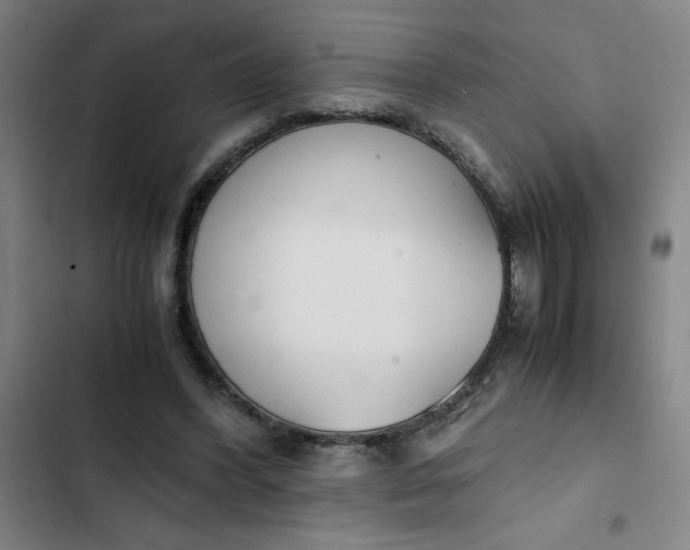 X0000102470396200808221648
