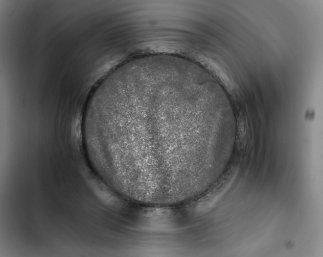 X0000102470398200808221648