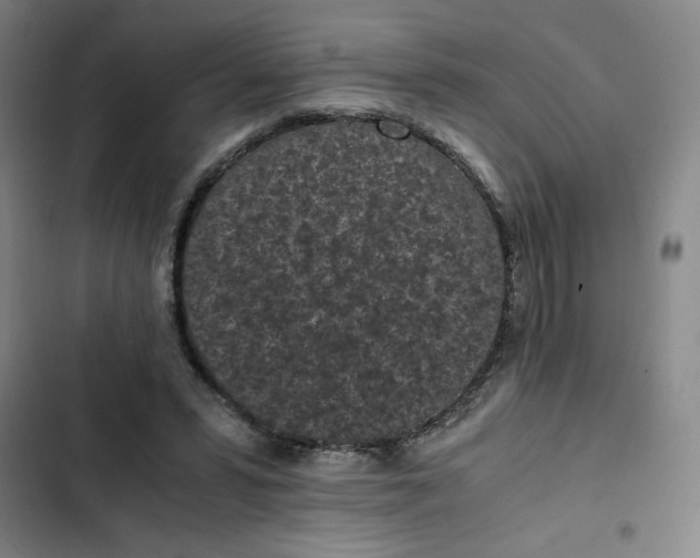 X0000102470399200808221648