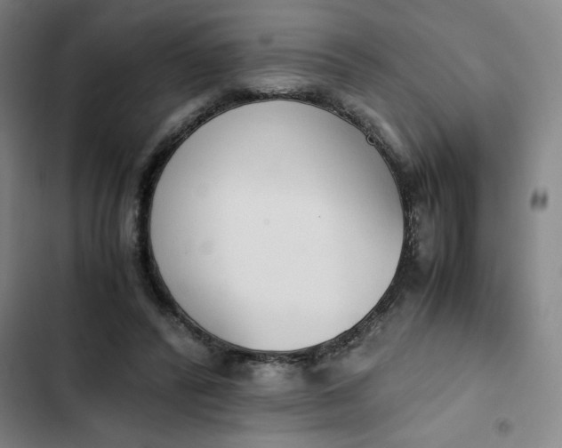 X0000102470400200808221648