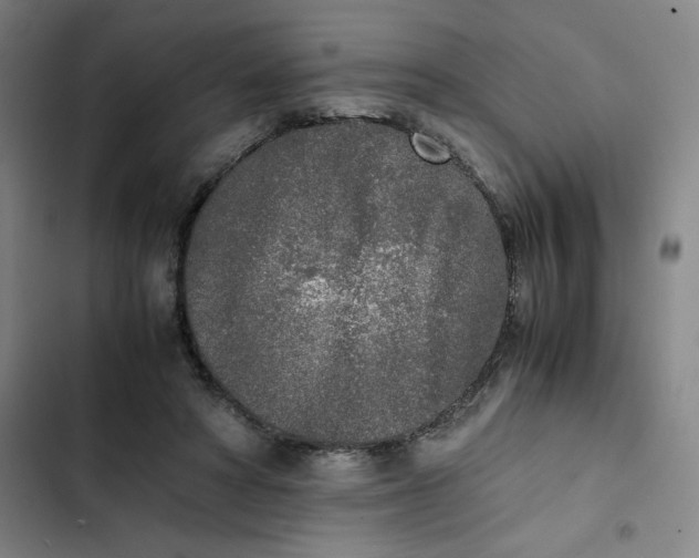 X0000102470402200808221648