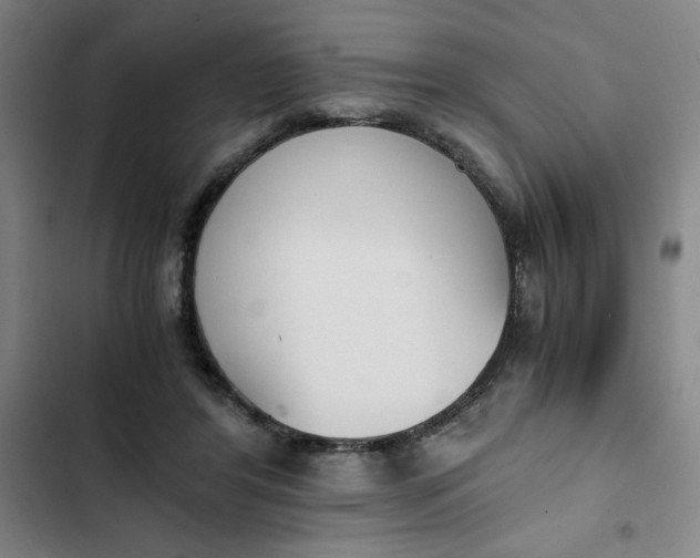 X0000102470404200808221648