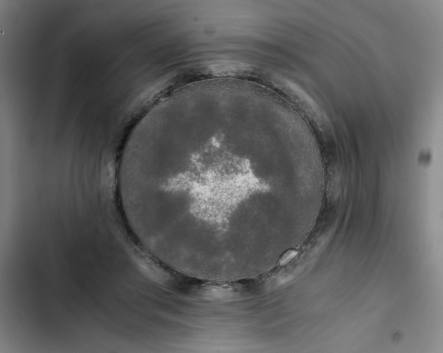 X0000102470405200808221648