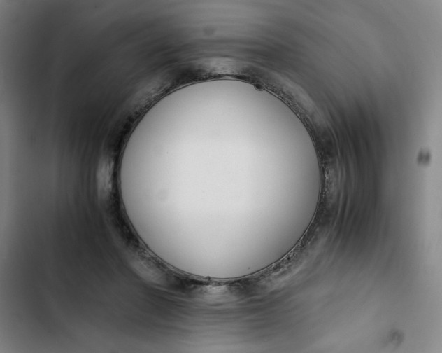 X0000102470406200808221648