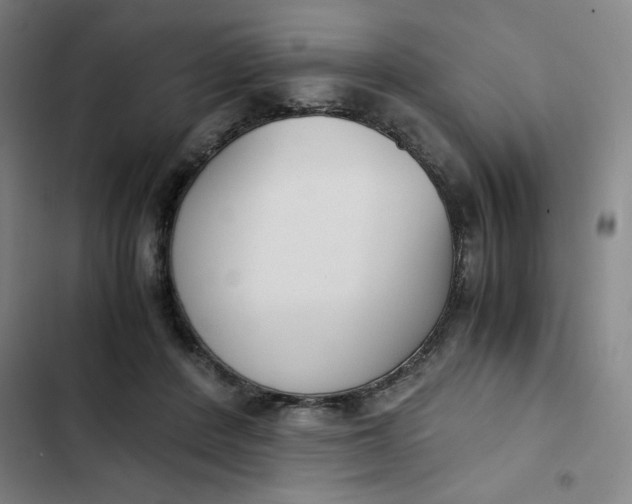 X0000102470408200808221647