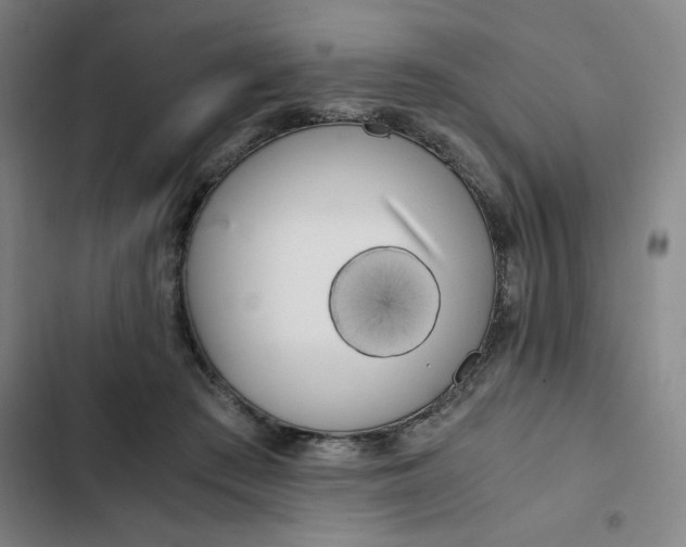 X0000102470409200808221647