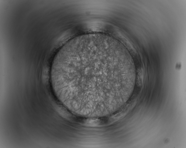 X0000102470410200808221647