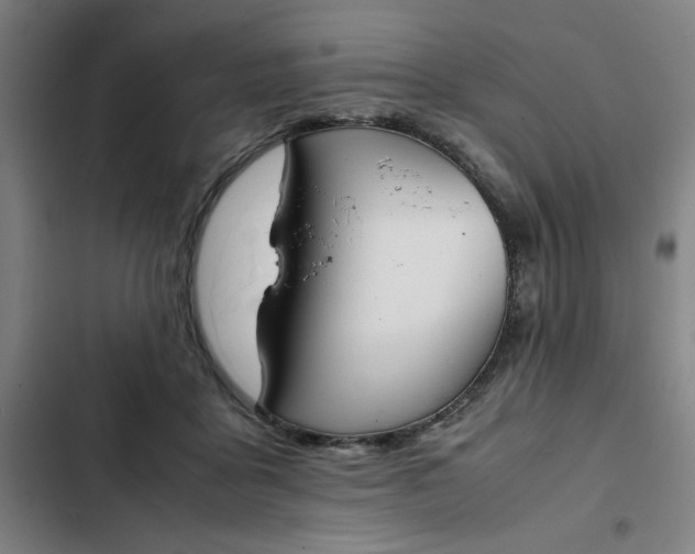 X0000102470411200808221647