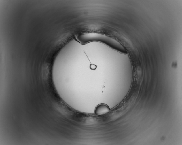 X0000102470412200808221647