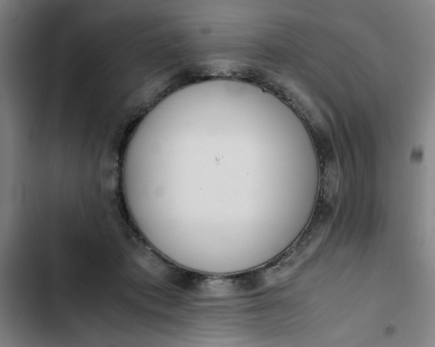 X0000102470413200808221647