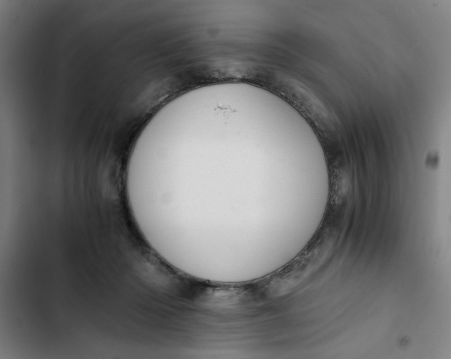 X0000102470414200808221647