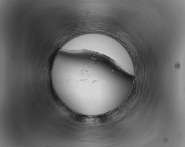 X0000102470415200808221647