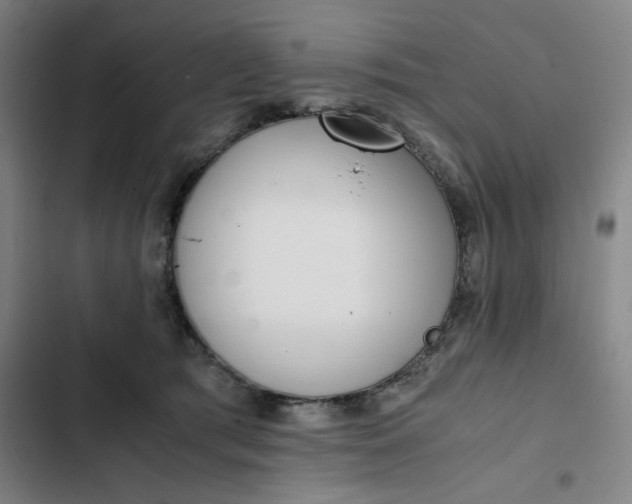 X0000102470417200808221647
