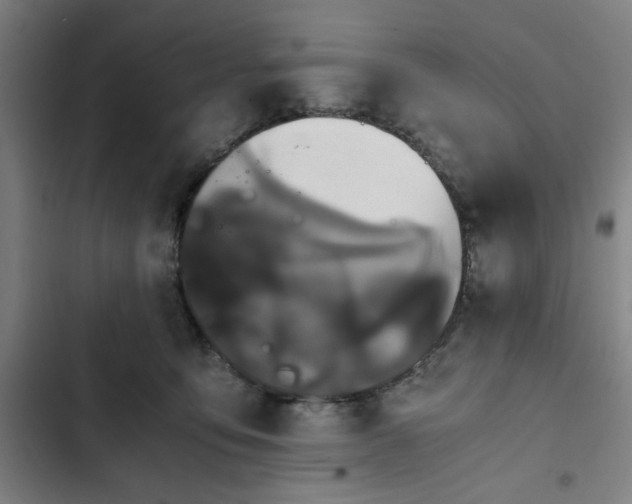 X0000102470419200808221647