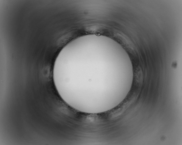 X0000102470420200808221647