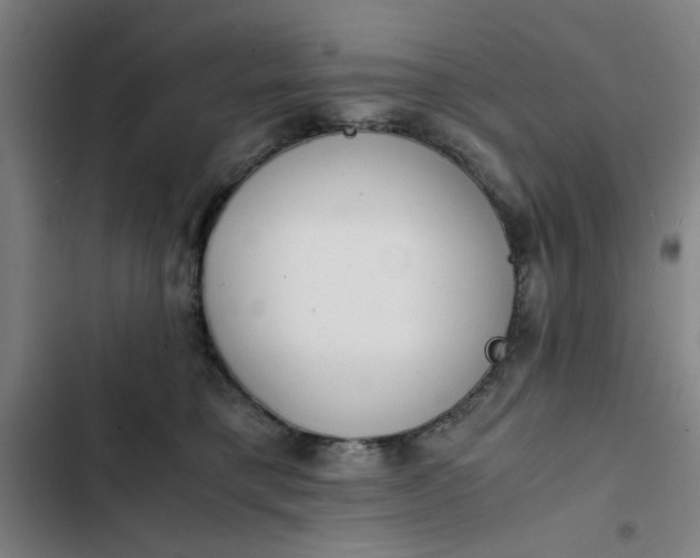 X0000102470421200808221647