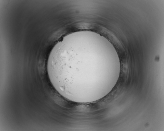 X0000102470422200808221647