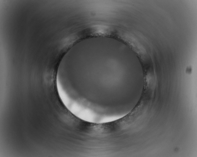 X0000102470423200808221647