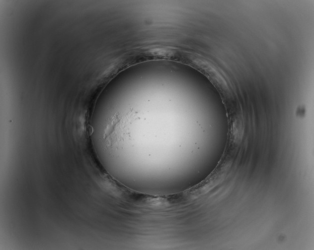 X0000102470424200808221647