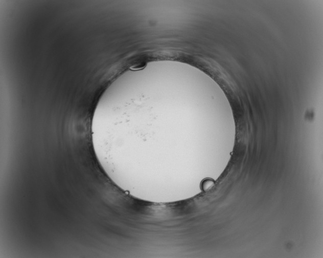 X0000102470425200808221647