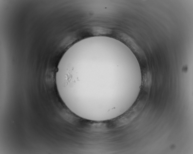 X0000102470426200808221647