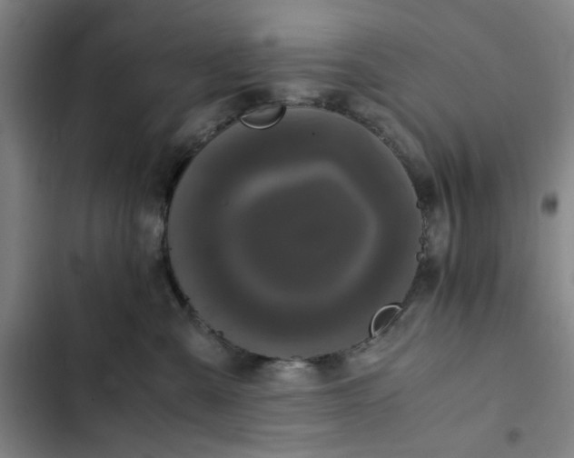X0000102470427200808221647
