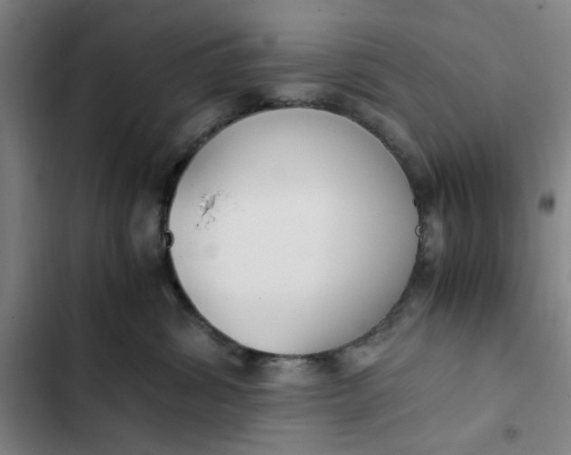 X0000102470428200808221647