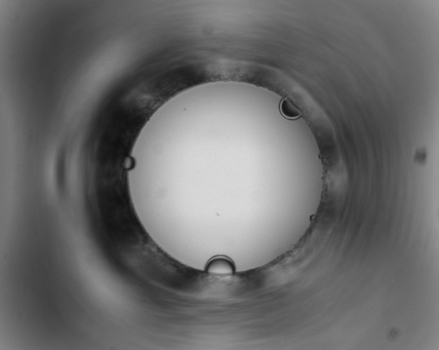 X0000102470429200808221647