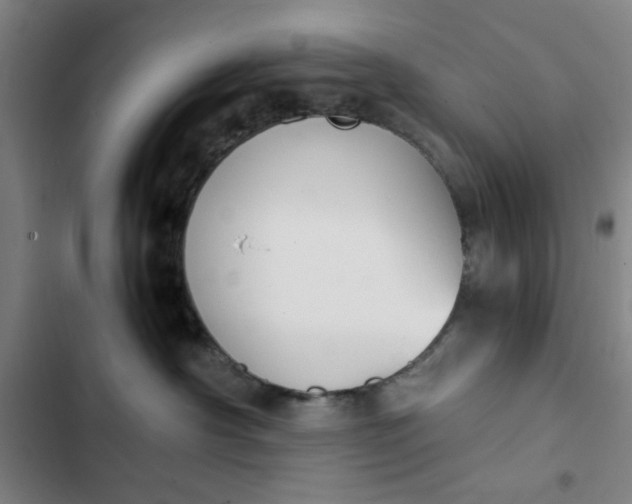 X0000102470430200808221647