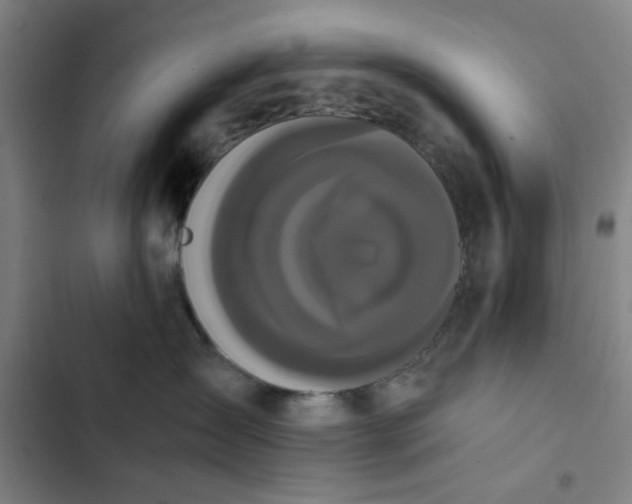 X0000102470431200808221647