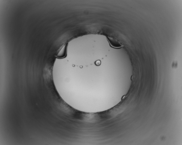 X0000102470432200808221647
