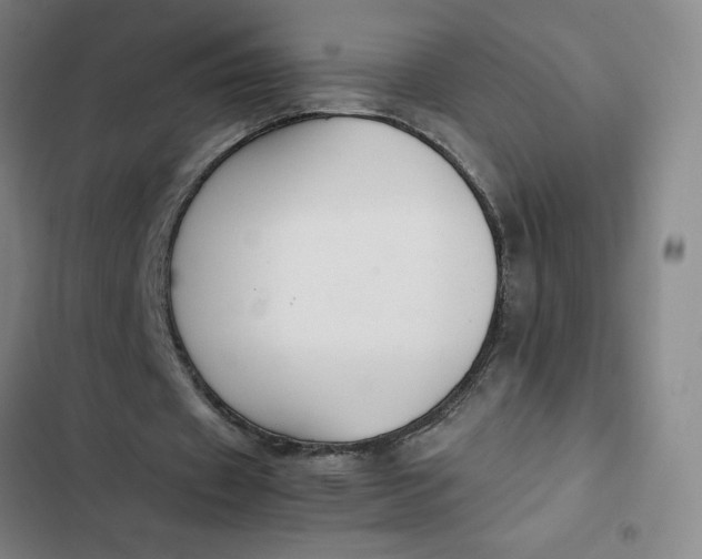 X0000102470433200808221646