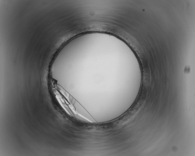 X0000102470434200808221647