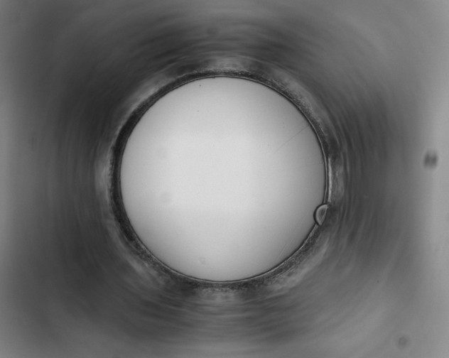 X0000102470435200808221647