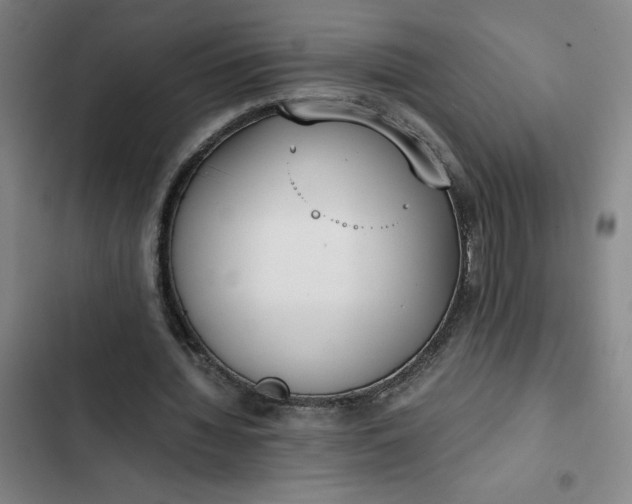 X0000102470436200808221647