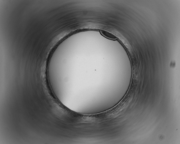 X0000102470437200808221647