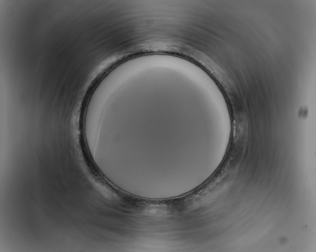 X0000102470438200808221647