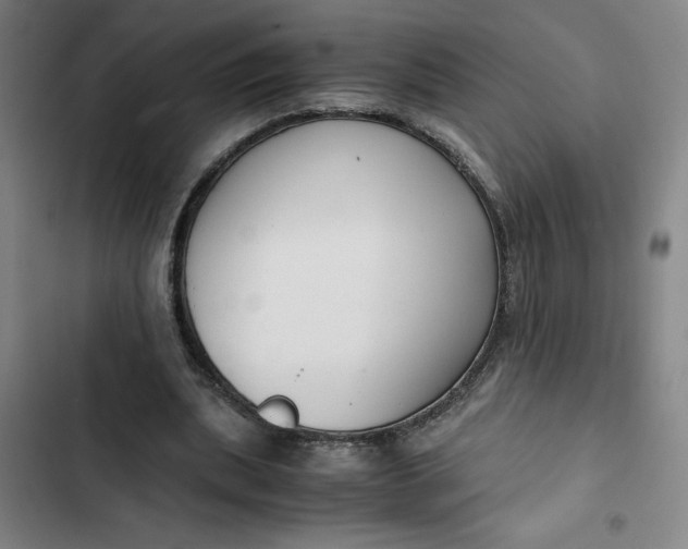 X0000102470439200808221647