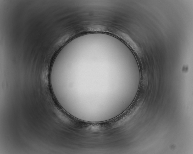 X0000102470441200808221647