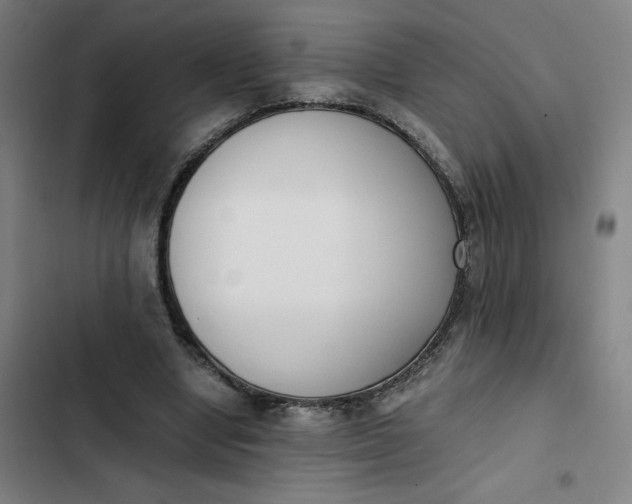 X0000102470442200808221647