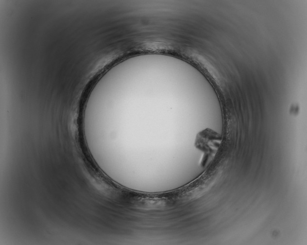 X0000102470443200808221647