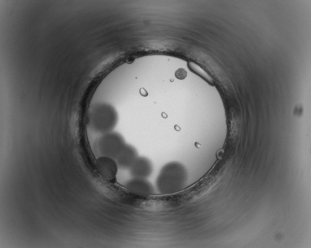 X0000102470444200808221647