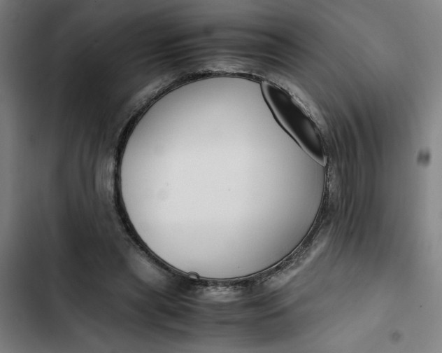 X0000102470445200808221647