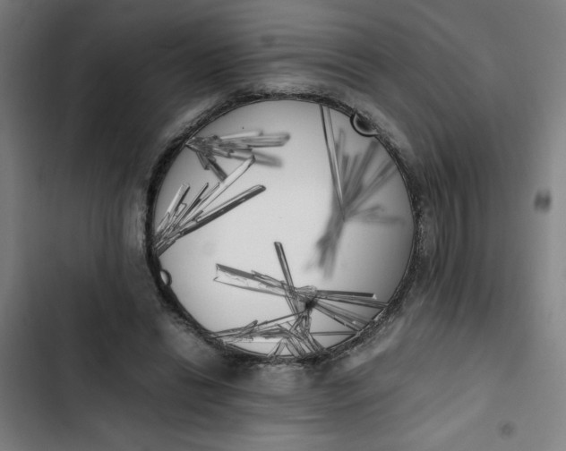 X0000102470446200808221647