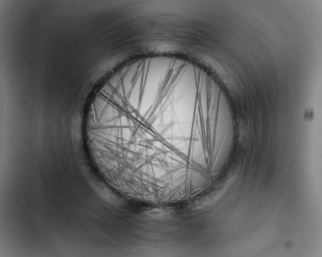 X0000102470447200808221647
